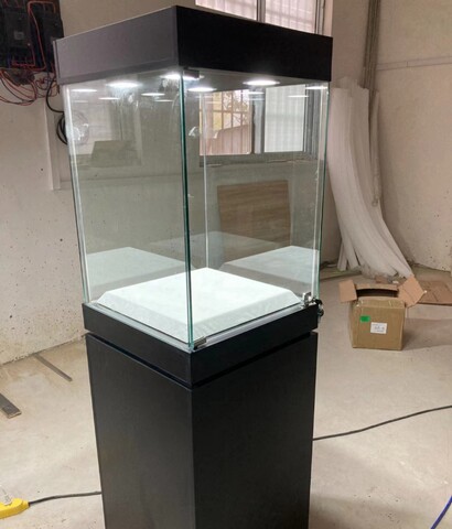 ����(w��)�����^(q��)չʾ����� �錚 ����չʾ�����